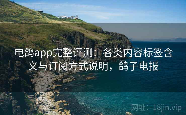 电鸽app完整评测：各类内容标签含义与订阅方式说明，鸽子电报
