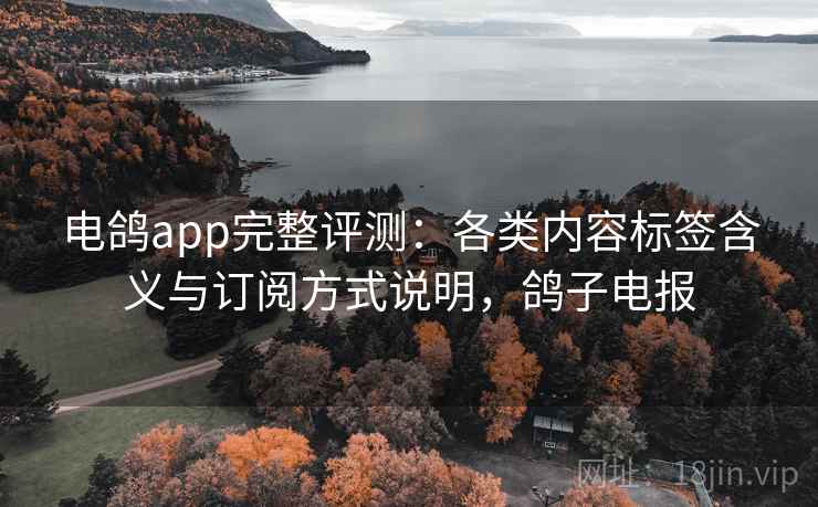 电鸽app完整评测：各类内容标签含义与订阅方式说明，鸽子电报