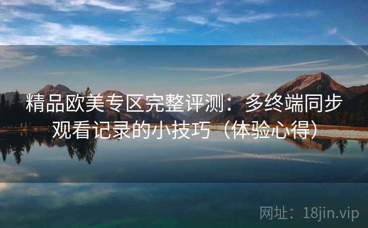 精品欧美专区完整评测：多终端同步观看记录的小技巧（体验心得）