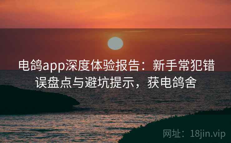 电鸽app深度体验报告:新手常犯错误盘点与避坑提示,获电鸽舍 电鸽app深度体验报告:新手常犯错误盘点与避坑提示,获电鸽舍