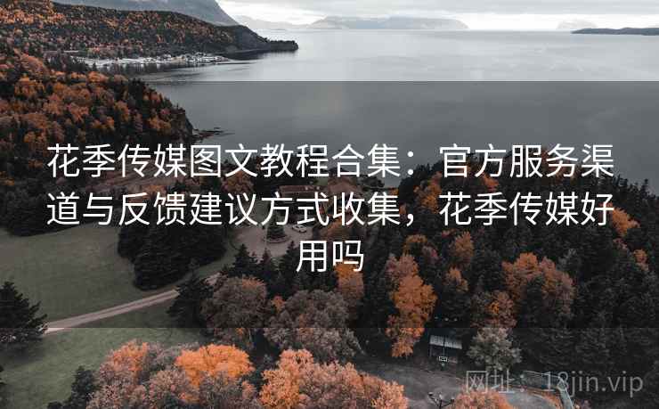 花季传媒图文教程合集：官方服务渠道与反馈建议方式收集，花季传媒好用吗