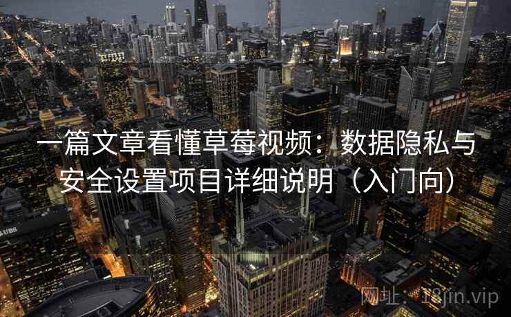 一篇文章看懂草莓视频：数据隐私与安全设置项目详细说明（入门向）