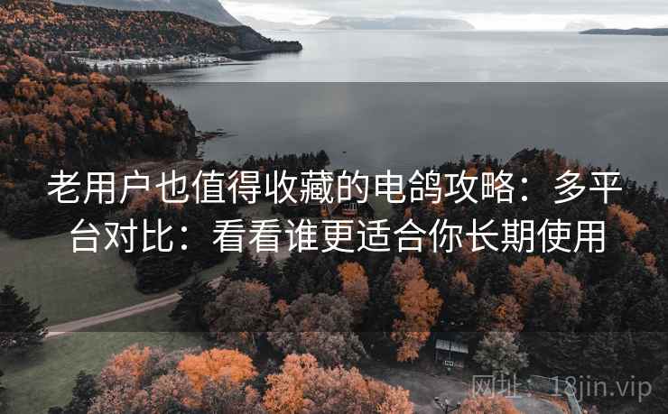 老用户也值得收藏的电鸽攻略：多平台对比：看看谁更适合你长期使用