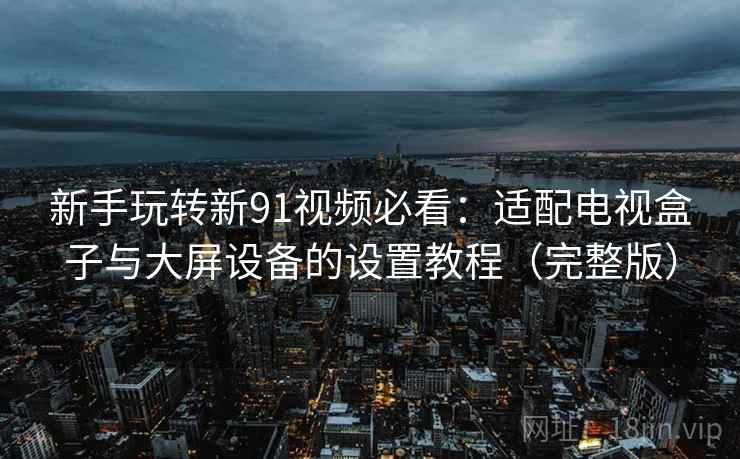 新手玩转新91视频必看：适配电视盒子与大屏设备的设置教程（完整版）