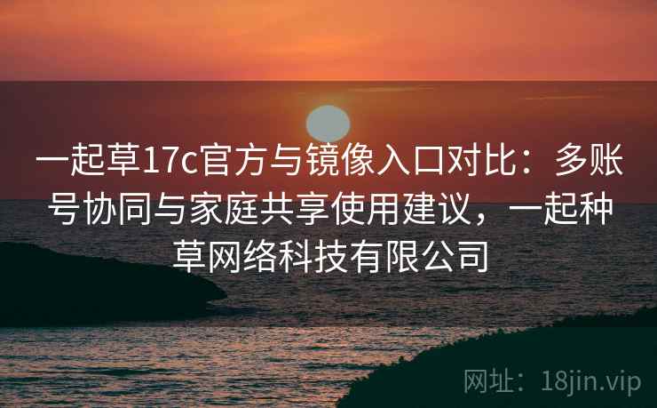一起草17c官方与镜像入口对比：多账号协同与家庭共享使用建议，一起种草网络科技有限公司