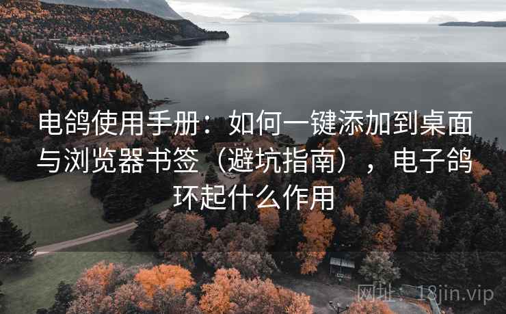 电鸽使用手册：如何一键添加到桌面与浏览器书签（避坑指南），电子鸽环起什么作用