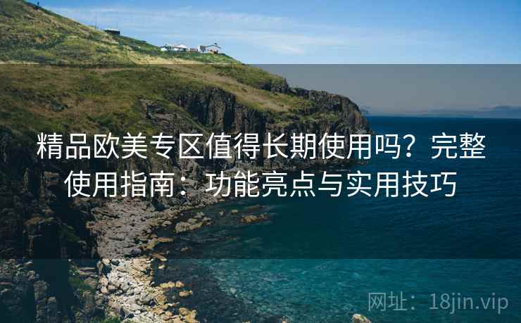 精品欧美专区值得长期使用吗？完整使用指南：功能亮点与实用技巧