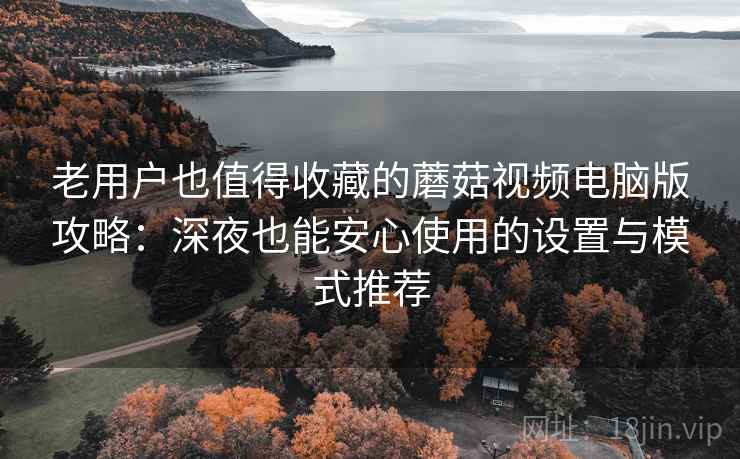 老用户也值得收藏的蘑菇视频电脑版攻略：深夜也能安心使用的设置与模式推荐