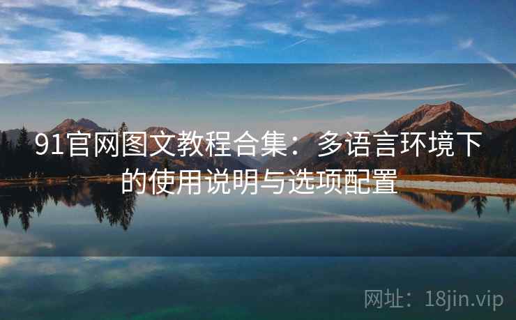 91官网图文教程合集：多语言环境下的使用说明与选项配置