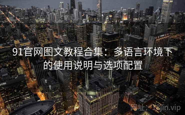 91官网图文教程合集:多语言环境下的使用说明与选项配置 91官网图文教程合集:多语言环境下的使用说明与选项配置