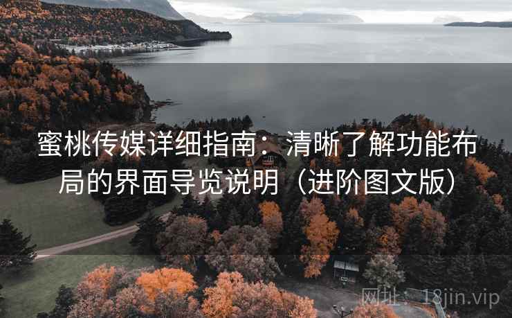 蜜桃传媒详细指南：清晰了解功能布局的界面导览说明（进阶图文版）
