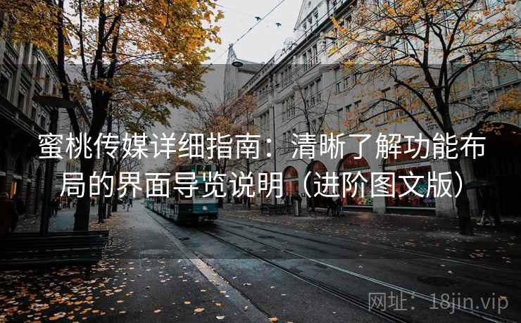 蜜桃传媒详细指南：清晰了解功能布局的界面导览说明（进阶图文版）