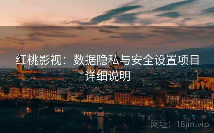 红桃影视：数据隐私与安全设置项目详细说明
