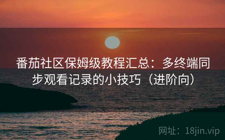 番茄社区保姆级教程汇总：多终端同步观看记录的小技巧（进阶向）