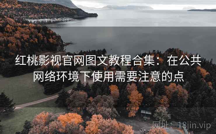 红桃影视官网图文教程合集：在公共网络环境下使用需要注意的点