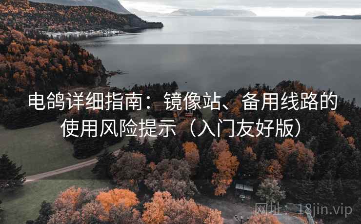 电鸽详细指南：镜像站、备用线路的使用风险提示（入门友好版）