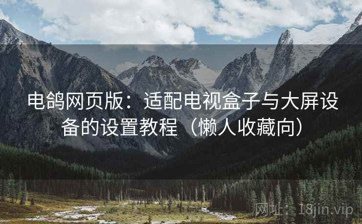 电鸽网页版：适配电视盒子与大屏设备的设置教程（懒人收藏向）