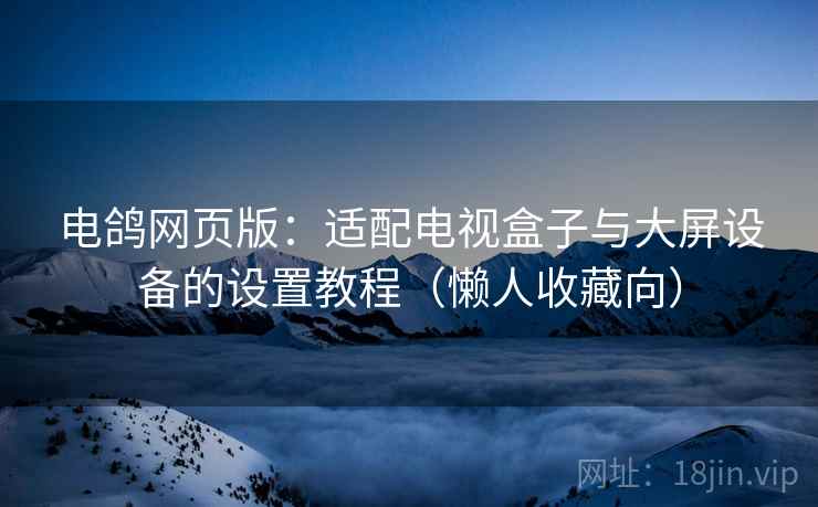 电鸽网页版：适配电视盒子与大屏设备的设置教程（懒人收藏向）