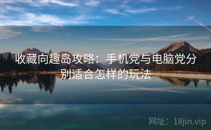 收藏向趣岛攻略：手机党与电脑党分别适合怎样的玩法